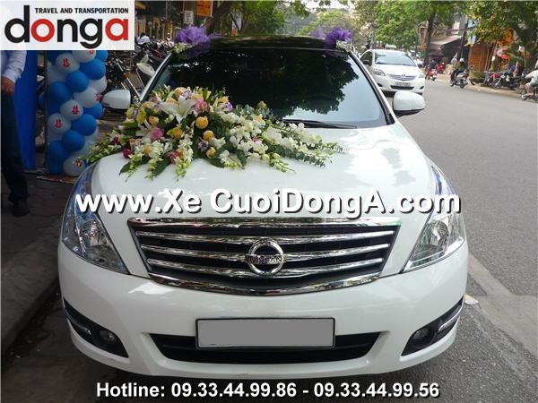 Xe-cuoi-nissan-teana-xe-cuoi-dong-a (6)