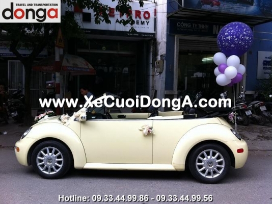 bong-bay-trang-tri-xe-cuoi-dong-a