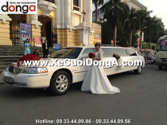 dong-a-tu-van-thue-xe-cuoi-limousine-3-khoang (1)