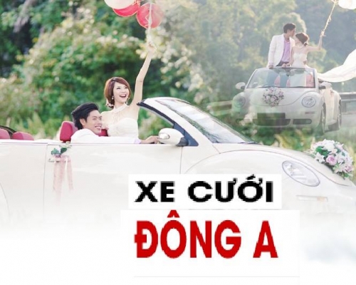 thue-xe-cuoi-o-dau-uy-tin-chuyen-nghiep-nhat-ha-noi