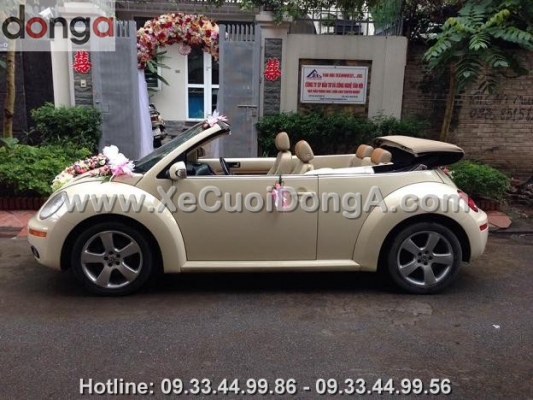 anh-xe-cuoi-volkswagen-mui-tran (1)