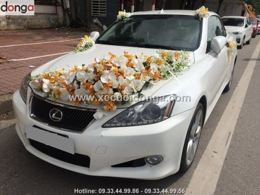 hinh-anh-xe-cuoi-lexus-is250c-mui-tran (5)