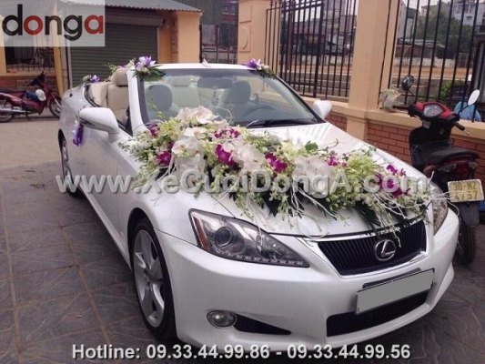 dong-a-co-cho-thue-xe-cuoi-lexus-is250c-mui-tran-khong