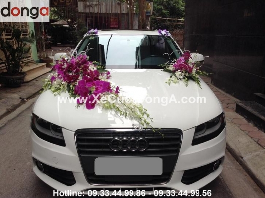 chi-nhung-thue-xe-cuoi-tai-ha-nam-phan-hoi-ve-dich-cu-hoa-cuoi-cua-dong-a