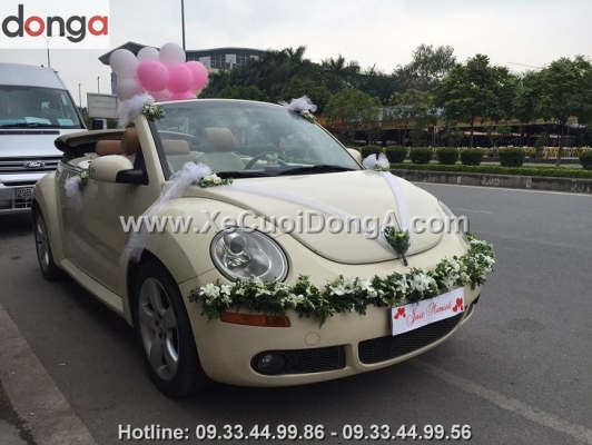co-hoa-hai-long-ve-lai-xe-cuoi-volkswagen-cua-xe-cuoi-dong-a