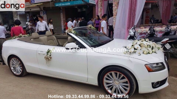 chi-thanh-thue-xe-cuoi-audi-hai-phong-nhan-xet-hoa-cuoi-cua-xe-cuoi-dong-a