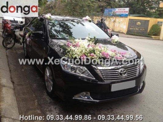 co-loan-thue-xe-cuoi-hoa-binh-tai-xe-cuoi-dong-a-nhan-xet-gia-thue-xe-cuoi-rat-tot