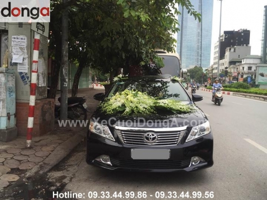 nhan-xet-cua-chi-loan-o-van-cao-ve-su-chuyen-nghiep-chu-dao-cua-xe-cuoi-dong-a