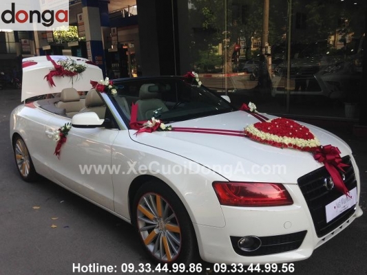 co-nen-thue-xe-cuoi-audi-a5-mui-tran-hay-khong