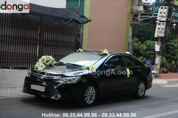 khong-chi-co-xe-cuoi-cao-cap-ma-dich-vu-xe-cuoi-gia-re-cua-dong-a-cung-rat-tuyet-hao