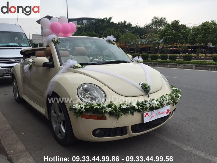 thue-xe-cuoi-volkswagen-mui-tran-cua-xe-cuoi-dong-a-co-phai-la-tot-nhat