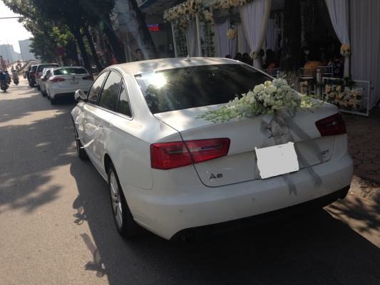 thue-xe-cuoi-audi-a6-chon-bien-so-xe-duoc-chu-1